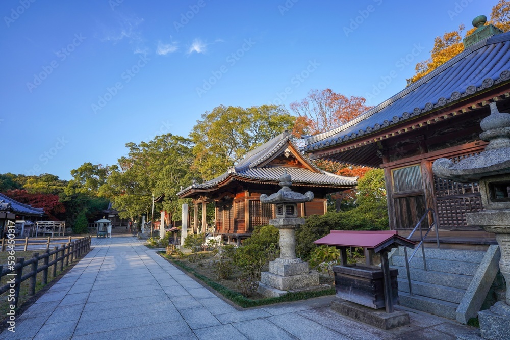 静寂に包まれたお寺の広い境内の秋の情景＠香川