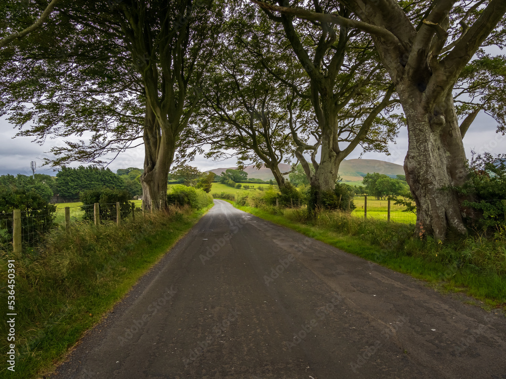 Lake District road in the countryside