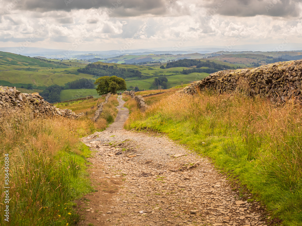 View Along Nanny Lane in the Lake District