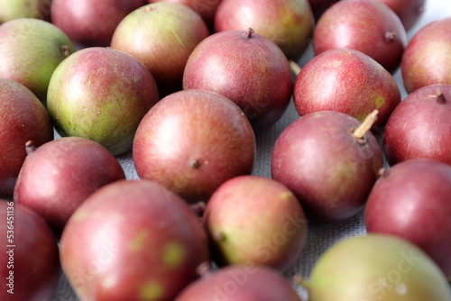 Flacourtia inermis, known commonly as lovi-lovi. Red Fruits