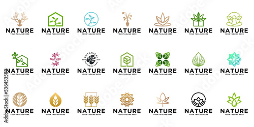 collection of nature logo designs, leaves, natural, botanical, flowers, for salons, women, and florists
