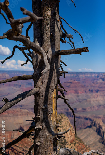 Grand Canyon Arizona 