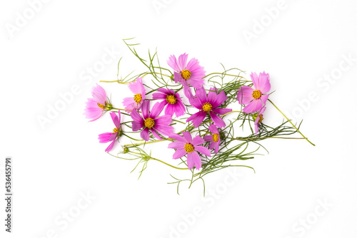 花のフレーム frame with typical beautiful flowers
