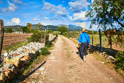 man with hat walking with wheelbarrow in a rural way at sunny day in llano second zimapan hidalgo  photo