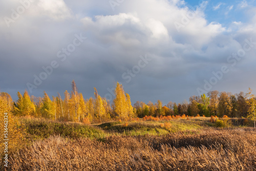 Landscape with autumn colours and cloudy sky.