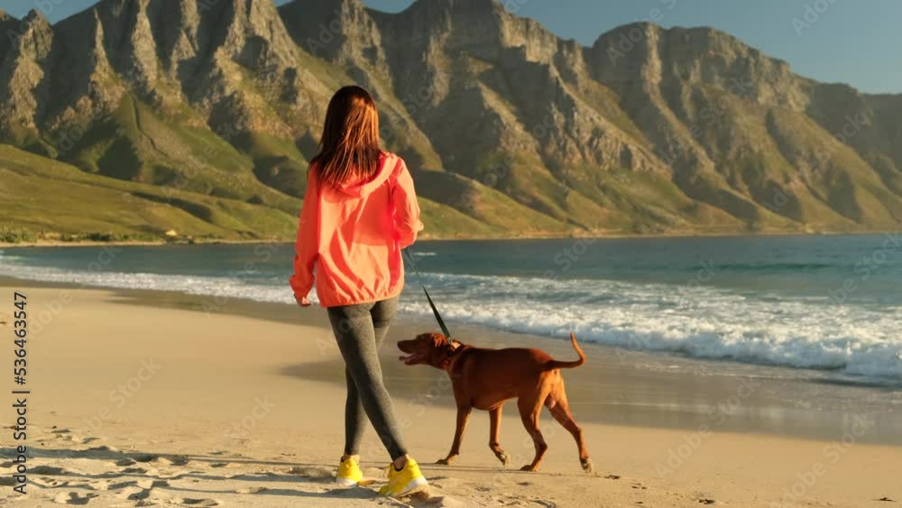 Young woman with dog sitting on the beach and watching the sunset ...