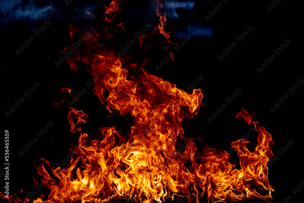 The fire, burning flame. Large burning flaming fire. The fire, burning flame. Large burning flaming fire.