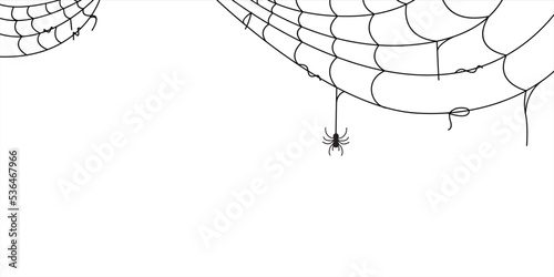 spider and web background for halloween design