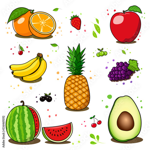 Fruit set collection, vector illustration and colurful sketch and icons style.