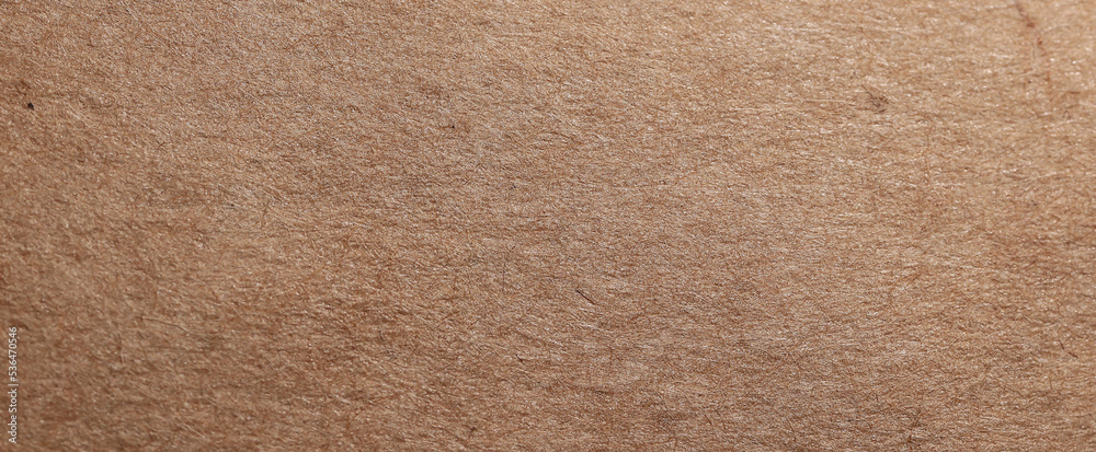 craft brown paper background cardboard sheet blank craft brown paper background cardboard sheet blank