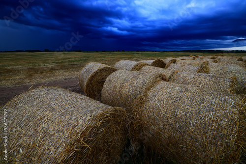 cloudscape field hay rolls sky clouds autumn, gloomy weather agriculture photo