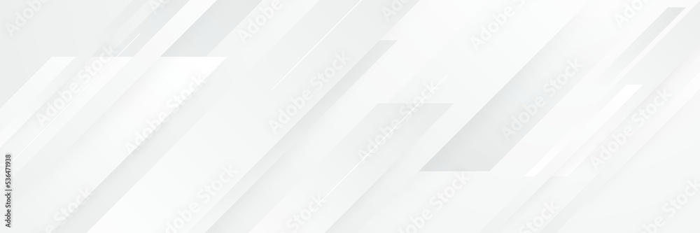 Fototapeta premium elegant abstract white banner background with shiny lines