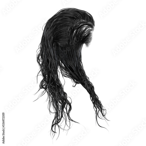 Wet long hair on isolated background, 3D render, 3D illustration