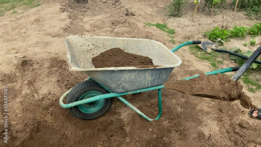 Wheelbarrow with ground on gardering. Loading soil into a construction
