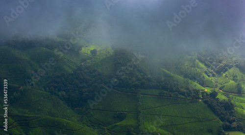 Munnar  the famed hill station of south India  is a romantic locale where natural beauty is everywhere to visit  explore and to enjoy. Munnar is situated at the confluence of three mountain streams