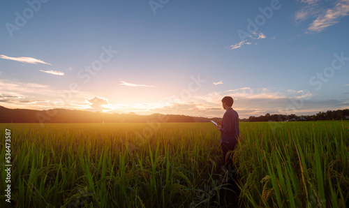 Asian farmer looks at his rice field  holding tablet hand after planting rice.