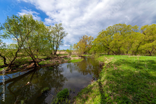 Fototapeta Naklejka Na Ścianę i Meble -  Forest green swamp with sky reflection..