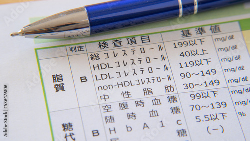 日本語の健康診断用紙｜脂質 photo