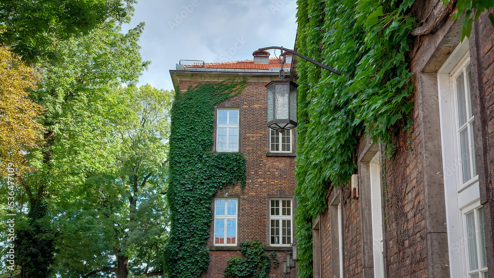old red brick building covered in leaves