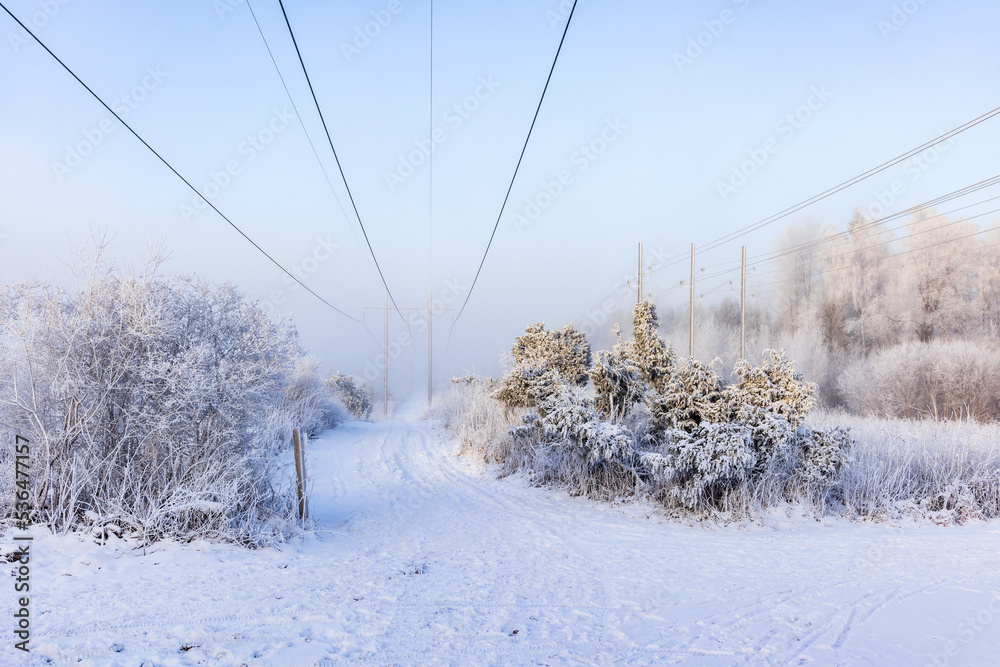 Footpath under a power line in a wintry landscape Footpath under a power line in a wintry landscape