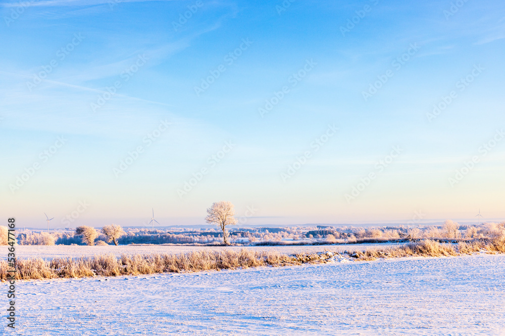 Snowy winter landscape in the countryside