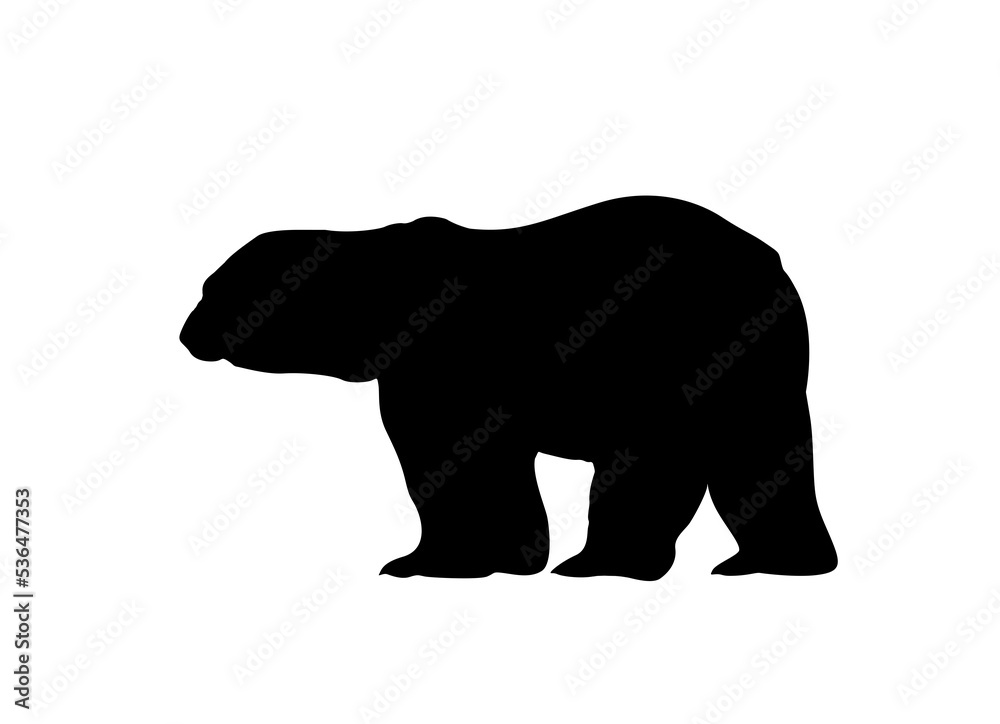 Fototapeta premium silhouette of a bear