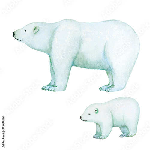 手書きで描いたシロクマの親子の水彩画イラスト素材