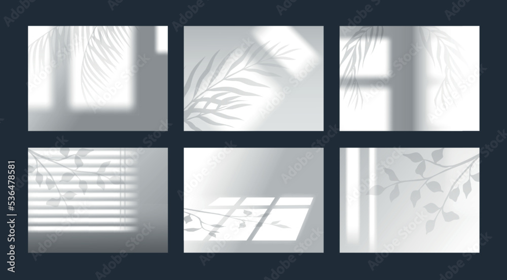 Fototapeta premium Tree shadow from window overlay. Light leaves. Monstera foliage and jalousie overlap effect. Summer botanical sunlight shade mockup on wall. Palm branches. Vector geometric elements set