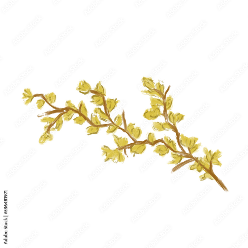 Yellow flower in blossom Yellow flower in blossom
