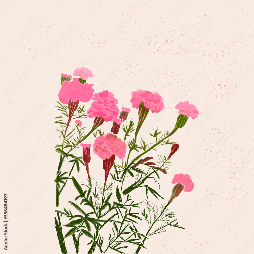 Fototapeta premium pink rose background