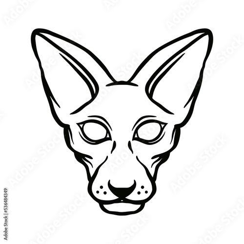 sphynx illustration hand drawn for design element.