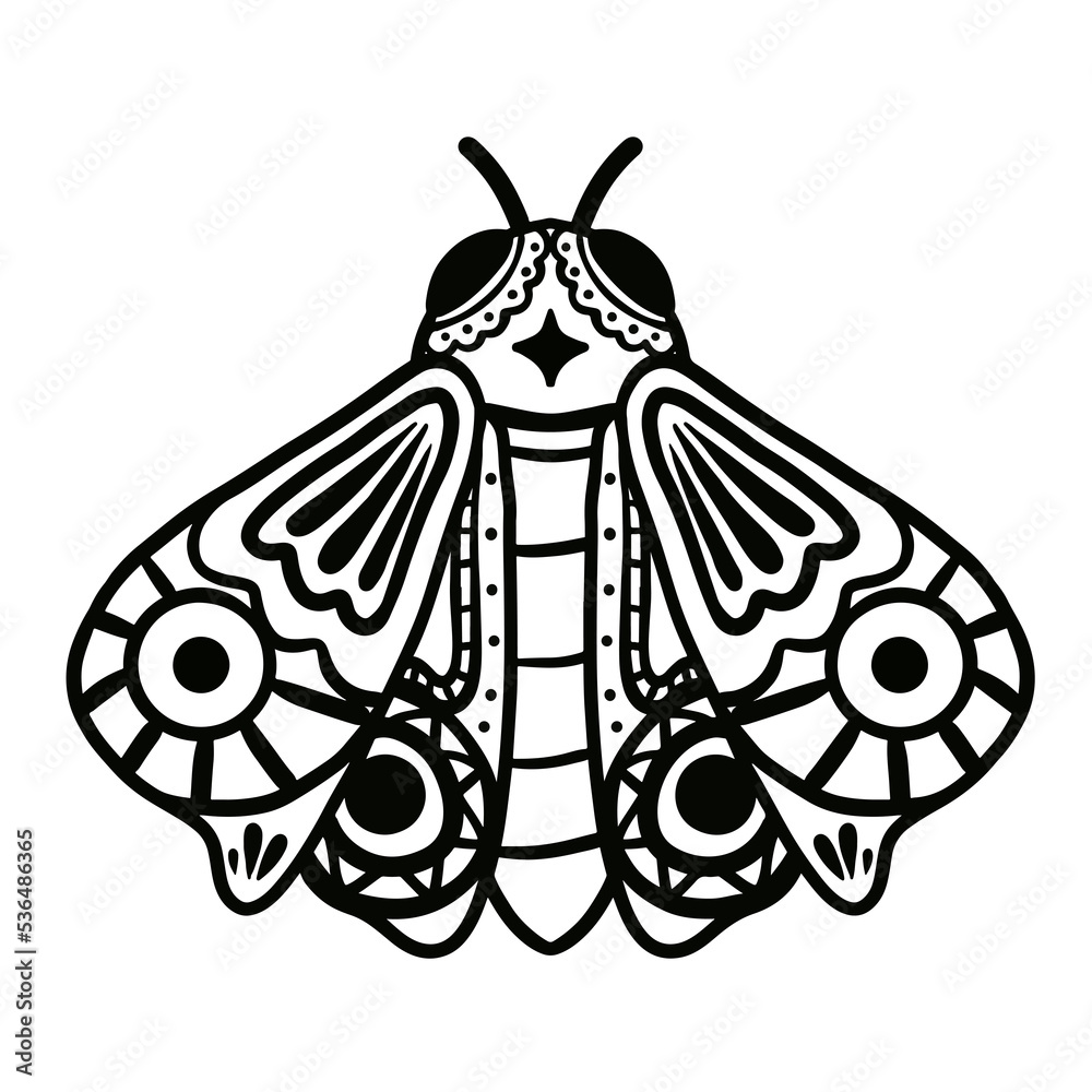 fly illustration hand drawn for design element. fly illustration hand drawn for design element.