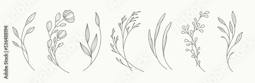 Minimal hand drawn floral botanical art. Trendy elements of wild and garden plants, branches, leaves, flowers, herbs. Vector illustration for logo or tattoo, invitation save the date card