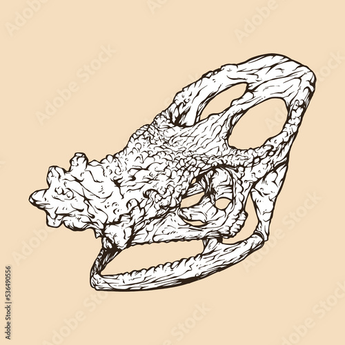 parson's chameleon skull head vector illustration