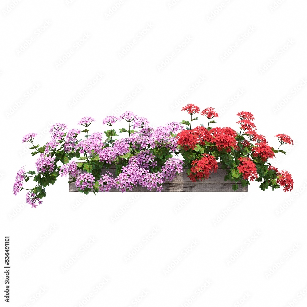 decorative flower in a pot isolated on white background, 3D illustration, cg render decorative flower in a pot isolated on white background, 3D illustration, cg render