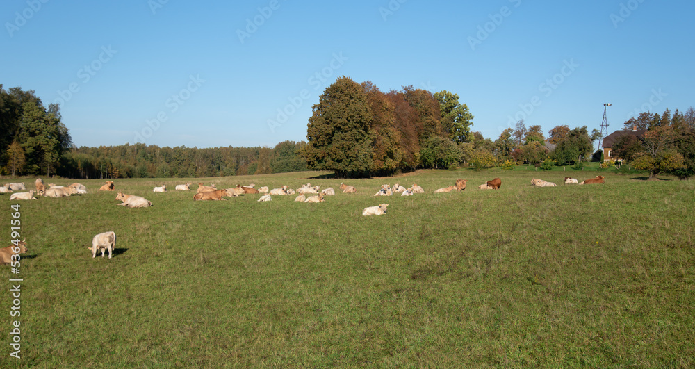 A view of the countryside.