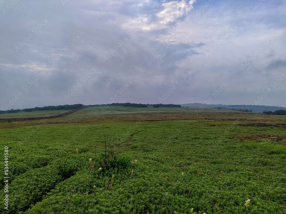 Foto Stock The Kas Plateau Reserved Forest, also known as the Kaas ...