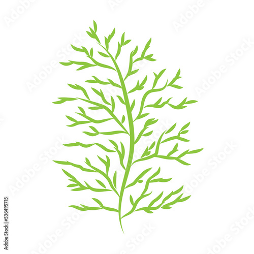 Green leafy plant with decorative art isolated vector illustration