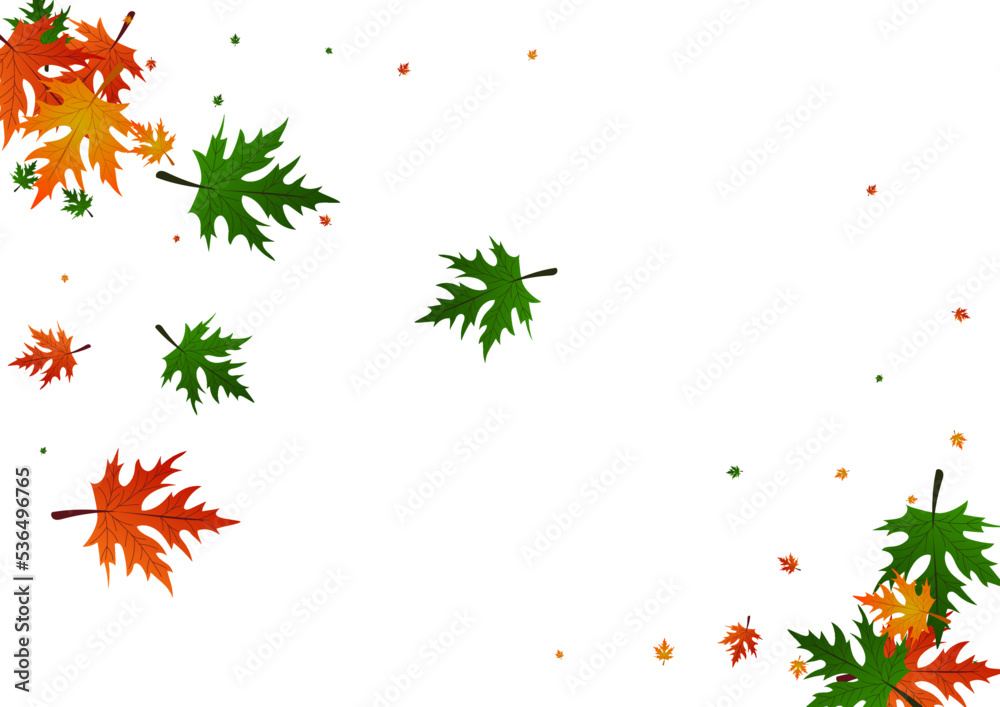 Green Maple Background White Vector. Plant Tree Card. Yellow Design. Decoration Design. Colorful Foliage Decor. Green Maple Background White Vector. Plant Tree Card. Yellow Design. Decoration Design. Colorful Foliage Decor.