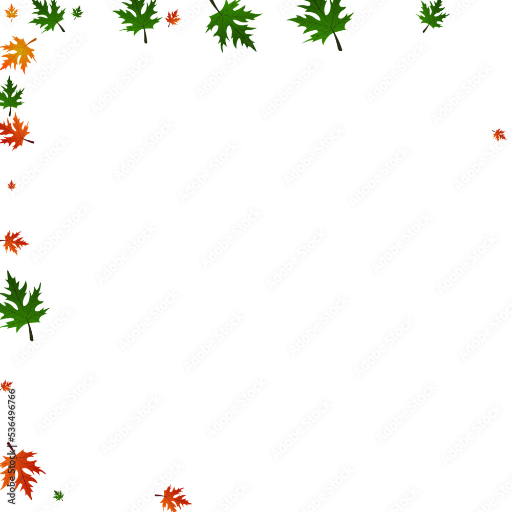 Golden Floral Background White Vector. Plant Logo Texture. Green October. Nature Frame. Brown Maple Down. Golden Floral Background White Vector. Plant Logo Texture. Green October. Nature Frame. Brown Maple Down.