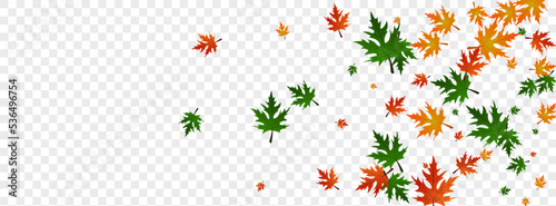 Orange Leaves Background Transparent Vector. Plant Paper Card. Ocher Seasonal. Bright Design. Yellow Maple Abstract.