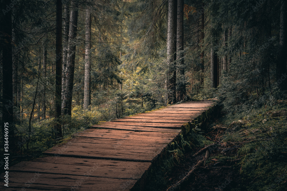 Obraz premium Kleiner Arbersee im Arberland Bayerischer Wald