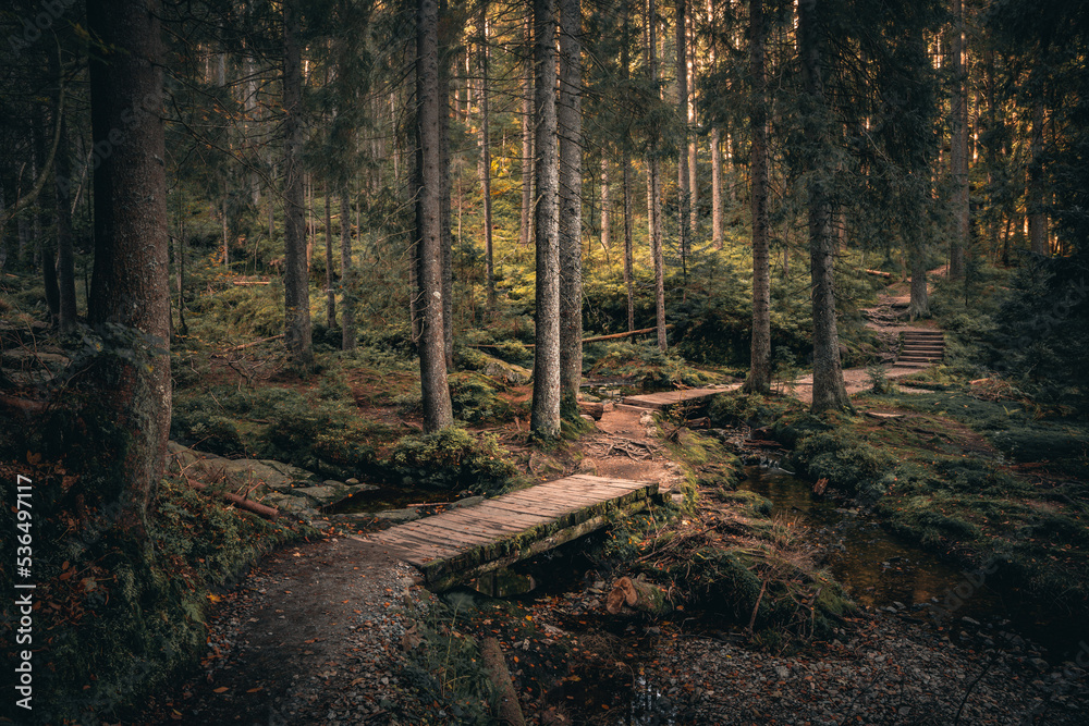 Kleiner Arbersee im Arberland Bayerischer Wald Kleiner Arbersee im Arberland Bayerischer Wald