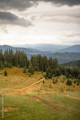 Landscape of green meadow highly in the mountains during rainy weather. Carpathian mountains in Ukraine