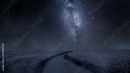 Milky way over country road and rape field in summer. photo