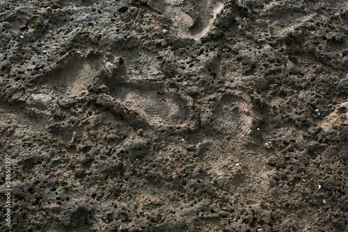 The ground is dry after the water recedes.