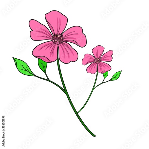 Wallpaper Mural flower card illustration hand painted ornamental plant decorative Torontodigital.ca