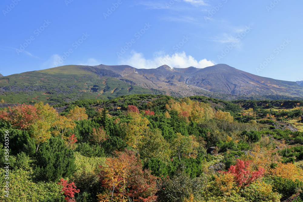 望岳台から見た十勝岳と紅葉