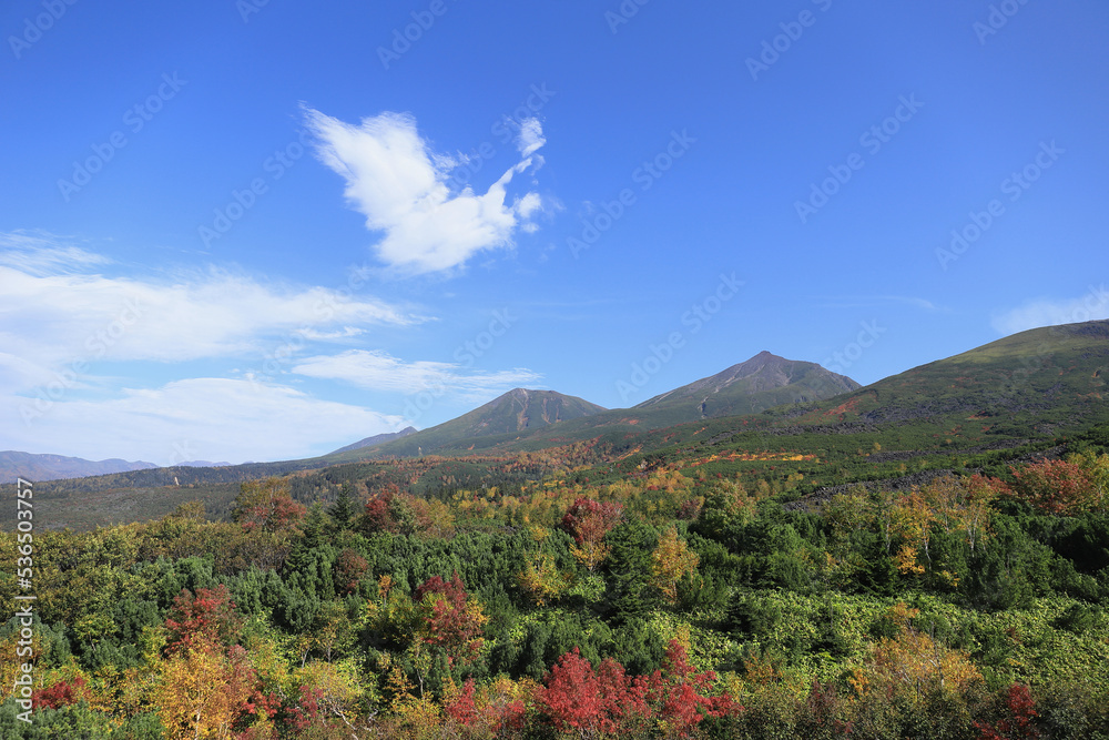 望岳台から見た美瑛岳、美瑛富士と紅葉