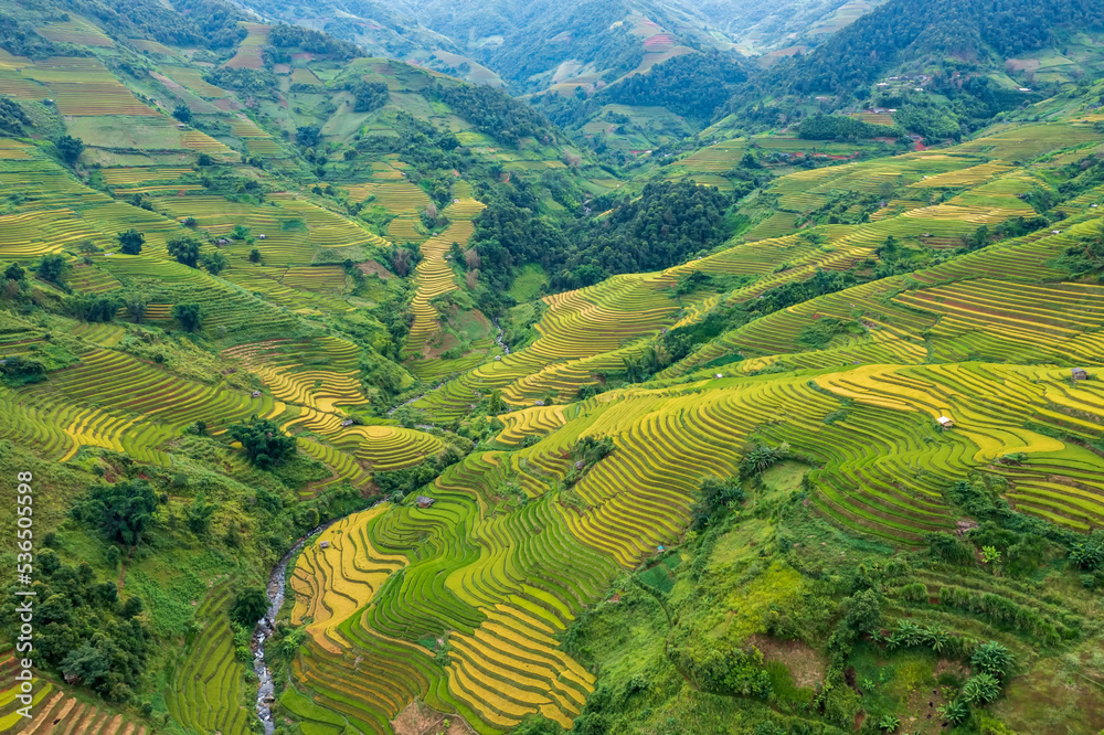 Landscape photo of rice terraces at Mugang Chai, Vietnam